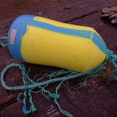 GirlsWildCat 091 : GirlsWildCat